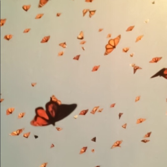 Meet your Posher, Kristin - Picture 3 of 16